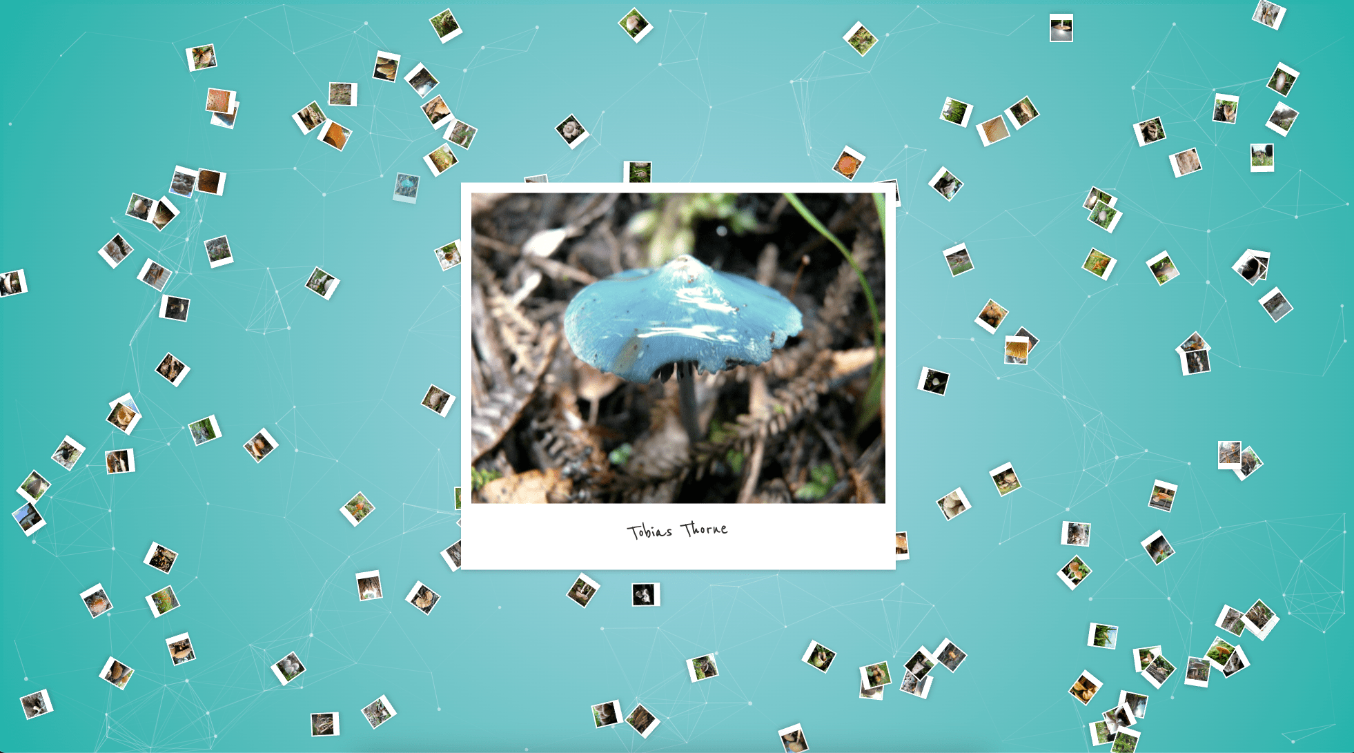 client_mushroomfarmer_3