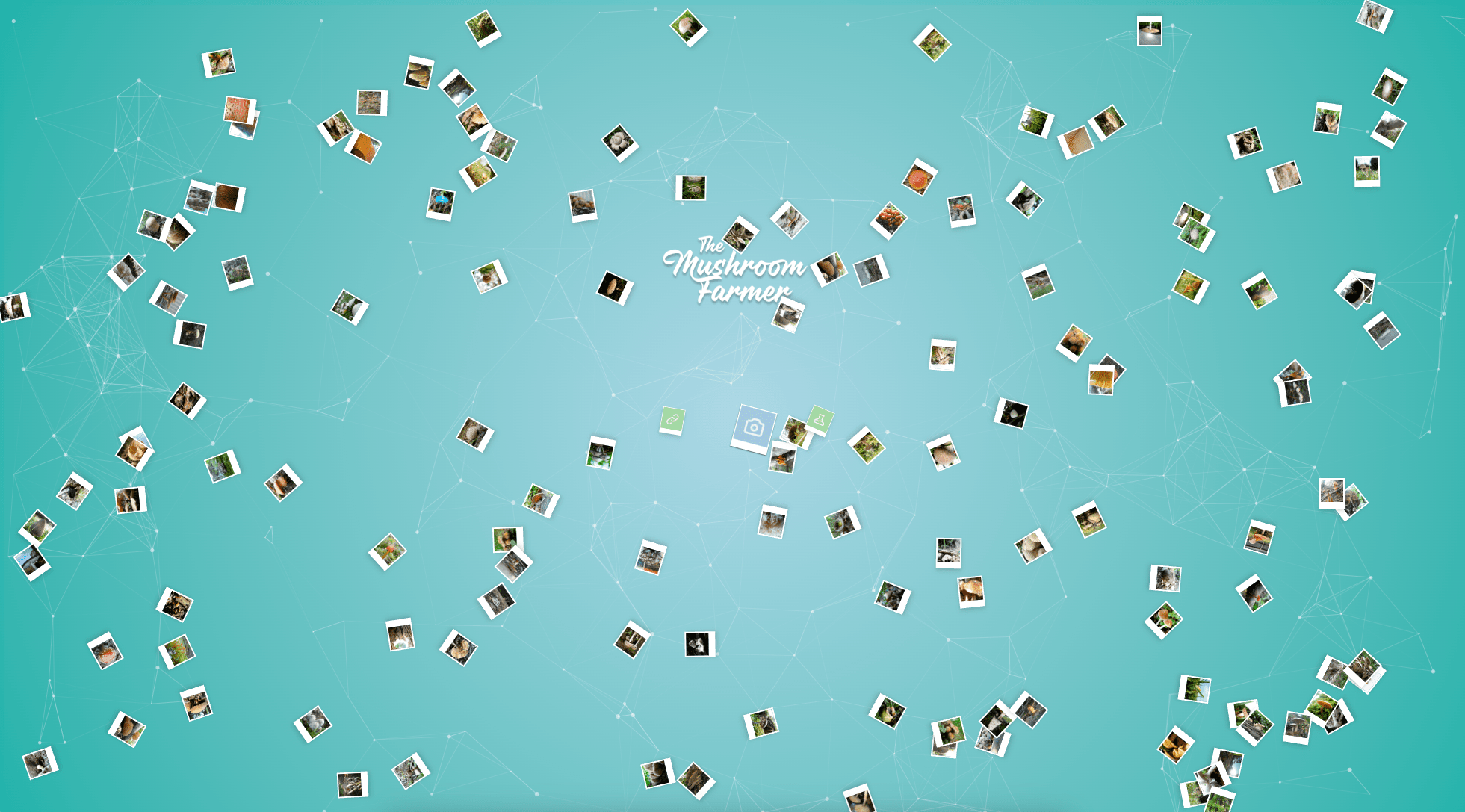 client_mushroomfarmer_4